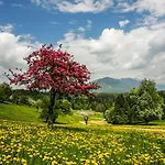 Apartment Goldenfields Kranj