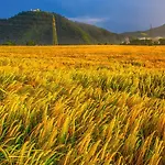 Goldenfields Apartment