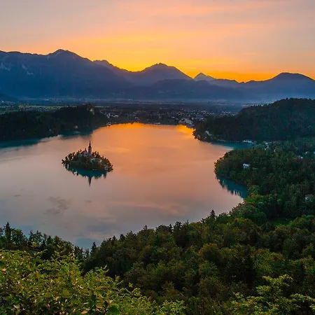 Goldenfields Apartamento Kranj