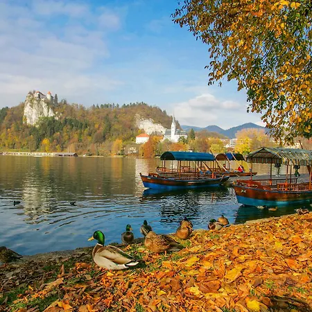 Goldenfields Apartamento Kranj