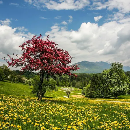 Apartment Goldenfields Kranj