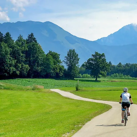 Goldenfields Kranj