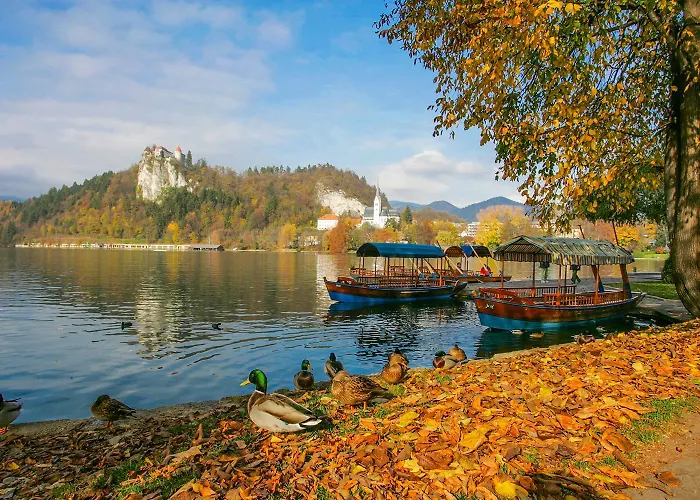 Goldenfields アパート クラーニ