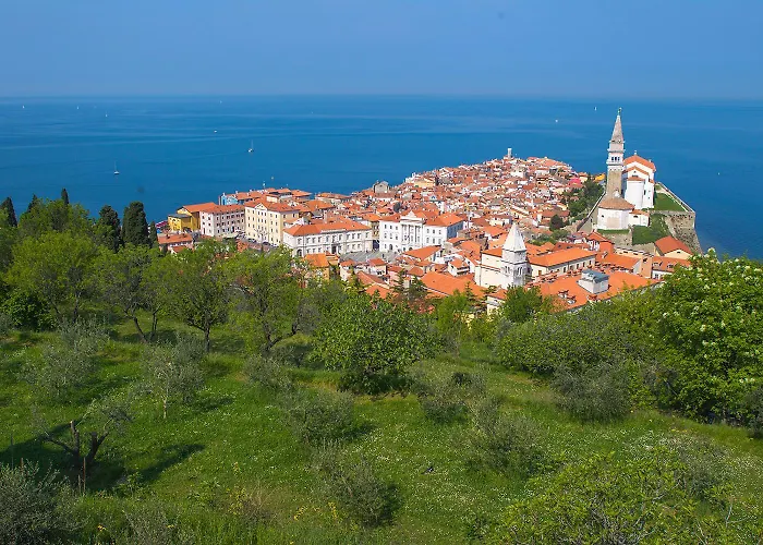 Goldenfields * كراني