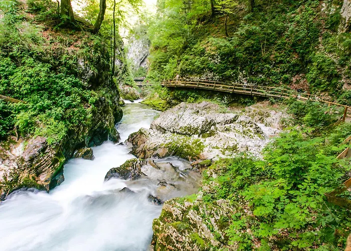 Goldenfields דירה קראנז'